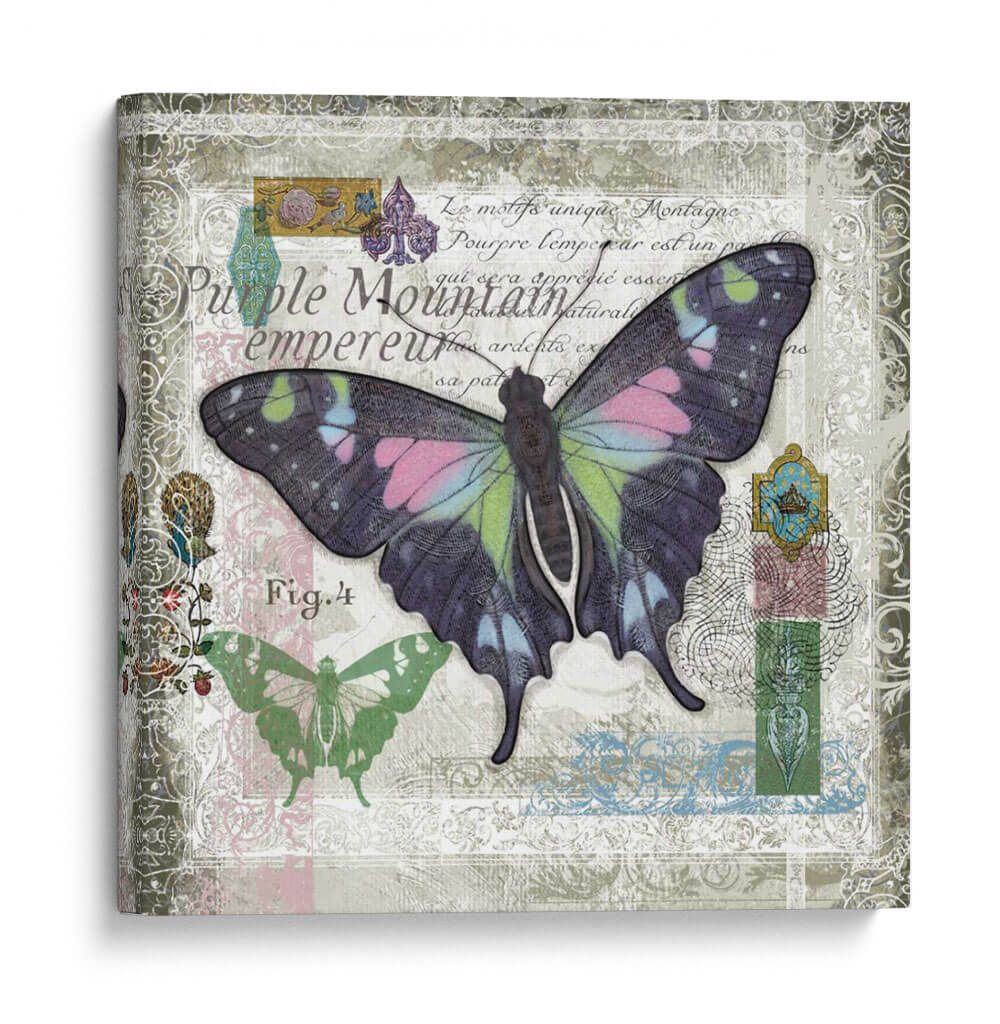 Mariposa Artefacto Iv - Alan Hopfensperger | Cuadro decorativo de Canvas Lab