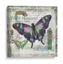 Mariposa Artefacto Iv - Alan Hopfensperger | Cuadro decorativo de Canvas Lab