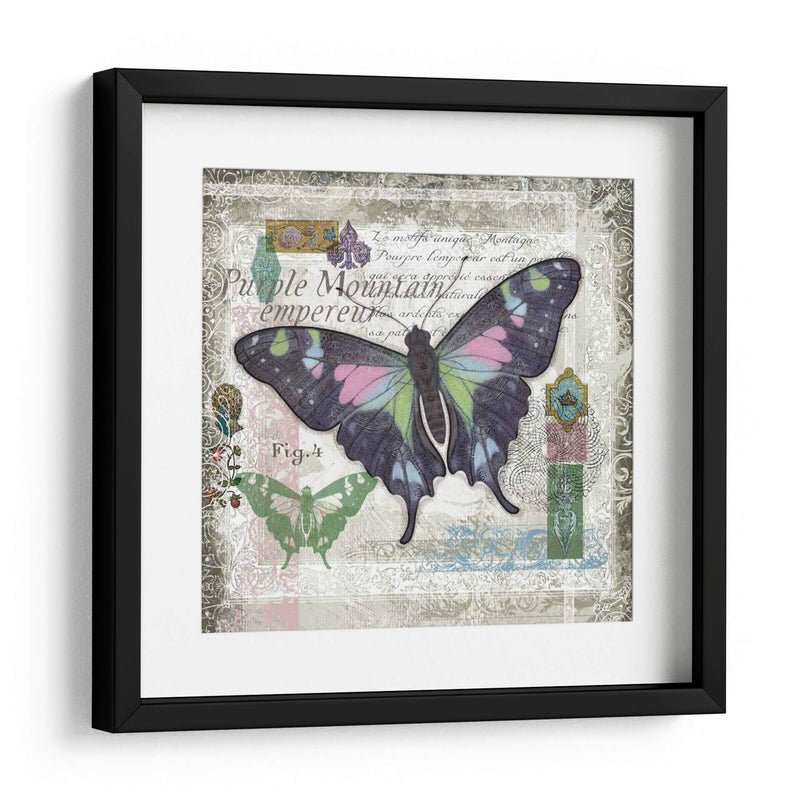 Mariposa Artefacto Iv - Alan Hopfensperger | Cuadro decorativo de Canvas Lab