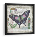 Mariposa Artefacto Iv - Alan Hopfensperger | Cuadro decorativo de Canvas Lab