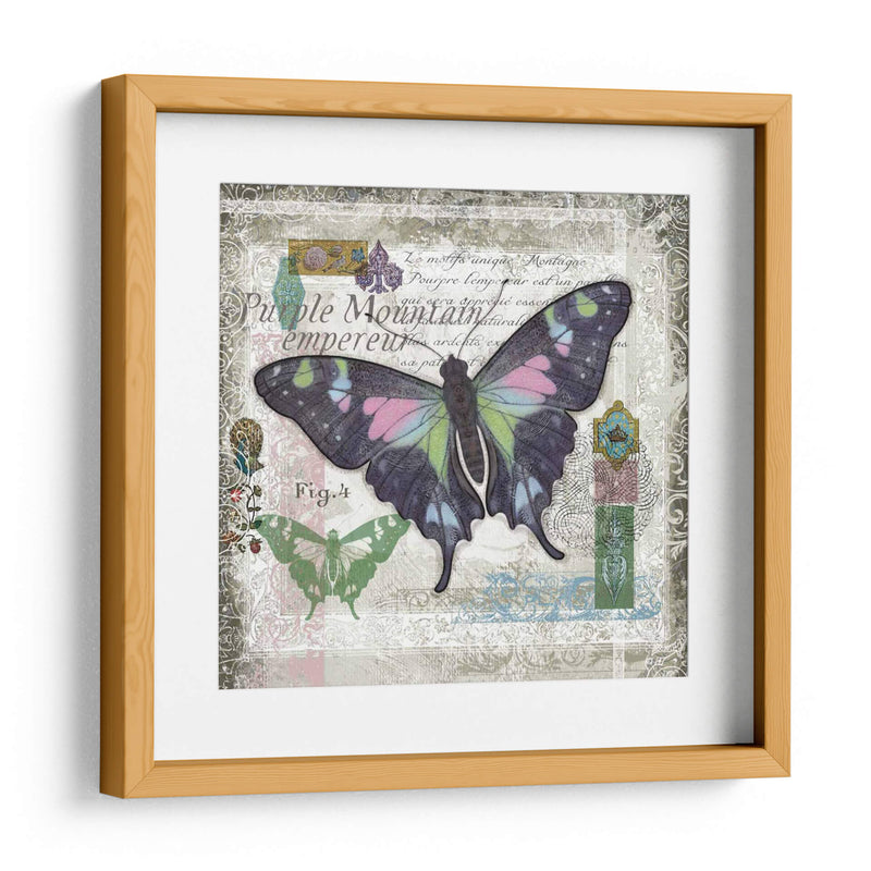 Mariposa Artefacto Iv - Alan Hopfensperger | Cuadro decorativo de Canvas Lab