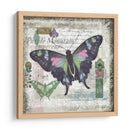 Mariposa Artefacto Iv - Alan Hopfensperger | Cuadro decorativo de Canvas Lab