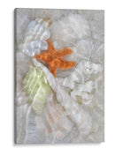 Olas De Luz Submarina I - Leda Robertson | Cuadro decorativo de Canvas Lab