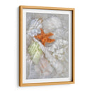 Olas De Luz Submarina I - Leda Robertson | Cuadro decorativo de Canvas Lab