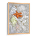 Olas De Luz Submarina I - Leda Robertson | Cuadro decorativo de Canvas Lab