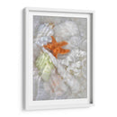 Olas De Luz Submarina I - Leda Robertson | Cuadro decorativo de Canvas Lab