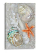 Ondas De Luz Submarina Ii - Leda Robertson | Cuadro decorativo de Canvas Lab