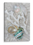 Ondas Ligeras Submarinas Iv - Leda Robertson | Cuadro decorativo de Canvas Lab