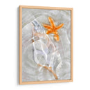 Ondas De Luz Submarina Vii - Leda Robertson | Cuadro decorativo de Canvas Lab