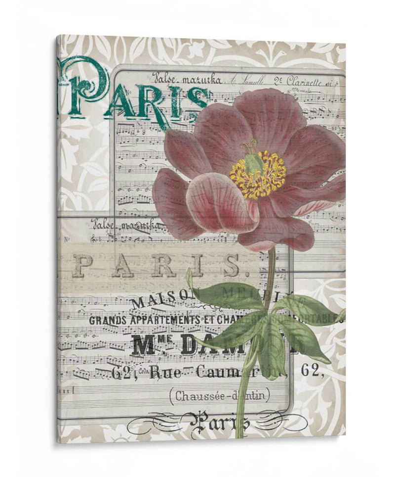 Musical Paris I - Jennifer Goldberger | Cuadro decorativo de Canvas Lab