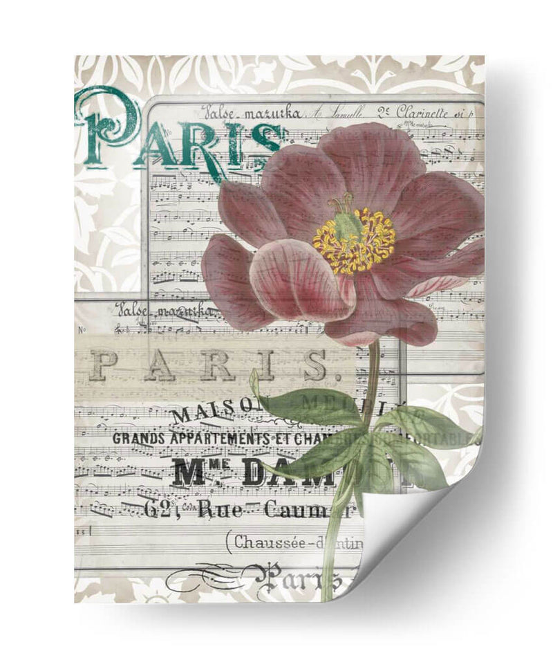 Musical Paris I - Jennifer Goldberger | Cuadro decorativo de Canvas Lab