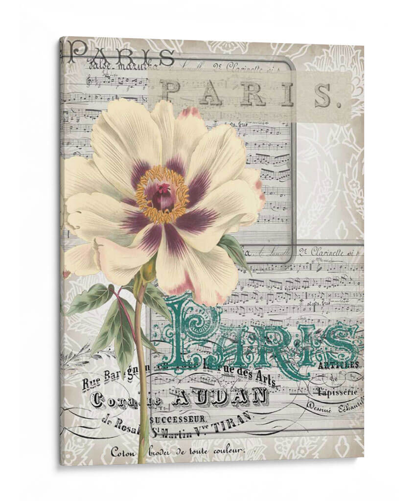 Musical Paris Ii - Jennifer Goldberger | Cuadro decorativo de Canvas Lab