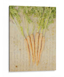 Herb Still Life Iii - Irena Orlov | Cuadro decorativo de Canvas Lab