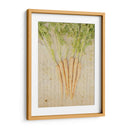 Herb Still Life Iii - Irena Orlov | Cuadro decorativo de Canvas Lab