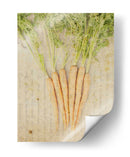 Herb Still Life Iii - Irena Orlov | Cuadro decorativo de Canvas Lab
