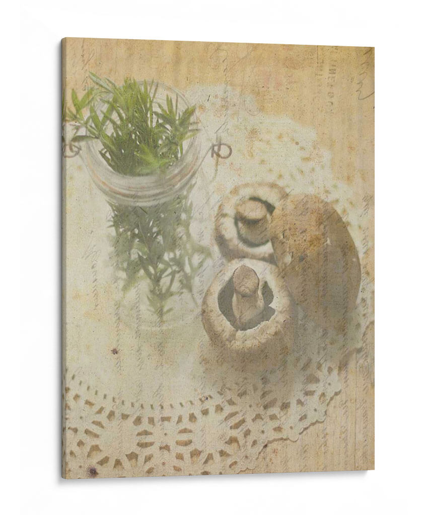 Herb Still Life Iv - Irena Orlov | Cuadro decorativo de Canvas Lab