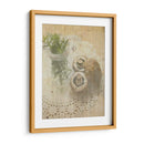 Herb Still Life Iv - Irena Orlov | Cuadro decorativo de Canvas Lab