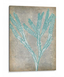 Spa Seaweed Ii - Jennifer Goldberger | Cuadro decorativo de Canvas Lab