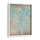 Spa Seaweed Ii - Jennifer Goldberger | Cuadro decorativo de Canvas Lab