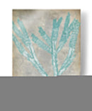 Spa Seaweed Ii - Jennifer Goldberger | Cuadro decorativo de Canvas Lab