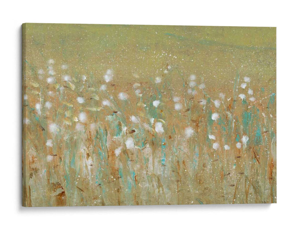 Blossoms De Pradera Ii - Tim OToole | Cuadro decorativo de Canvas Lab