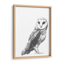 Instantánea De La Vida Silvestre - Naomi McCavitt | Cuadro decorativo de Canvas Lab