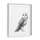 Instantánea De La Vida Silvestre - Naomi McCavitt | Cuadro decorativo de Canvas Lab