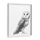 Instantánea De La Vida Silvestre - Naomi McCavitt | Cuadro decorativo de Canvas Lab