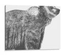 Snapshot- Grizzly - Naomi McCavitt | Cuadro decorativo de Canvas Lab