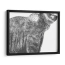 Snapshot- Grizzly - Naomi McCavitt | Cuadro decorativo de Canvas Lab
