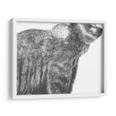 Snapshot- Grizzly - Naomi McCavitt | Cuadro decorativo de Canvas Lab