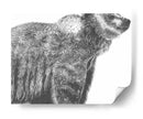 Snapshot- Grizzly - Naomi McCavitt | Cuadro decorativo de Canvas Lab