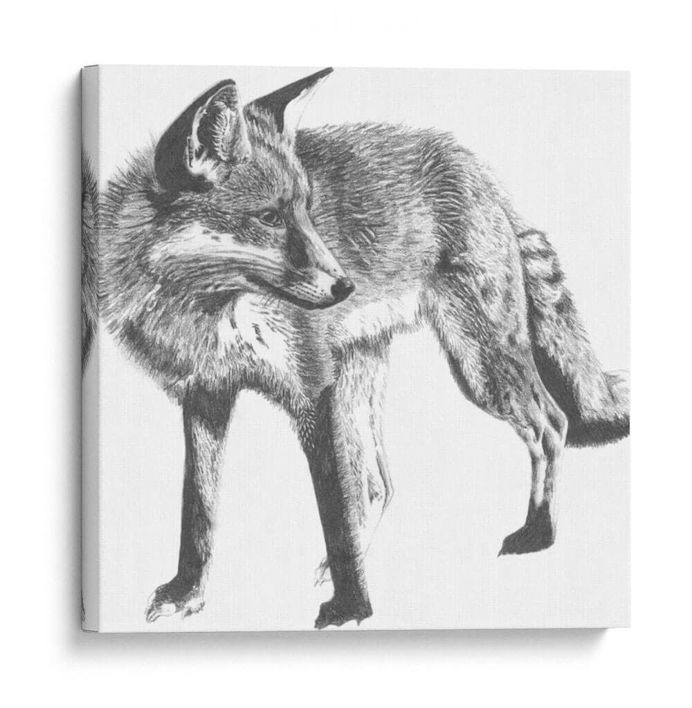 Snapshot Fox Fox - Naomi McCavitt | Cuadro decorativo de Canvas Lab