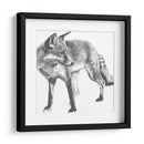 Snapshot Fox Fox - Naomi McCavitt | Cuadro decorativo de Canvas Lab
