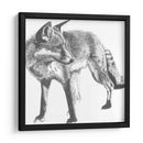 Snapshot Fox Fox - Naomi McCavitt | Cuadro decorativo de Canvas Lab