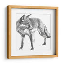 Snapshot Fox Fox - Naomi McCavitt | Cuadro decorativo de Canvas Lab