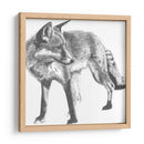 Snapshot Fox Fox - Naomi McCavitt | Cuadro decorativo de Canvas Lab