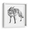 Snapshot Fox Fox - Naomi McCavitt | Cuadro decorativo de Canvas Lab