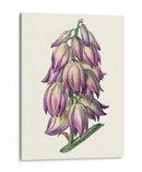 Adams Aguja I - Naomi McCavitt | Cuadro decorativo de Canvas Lab