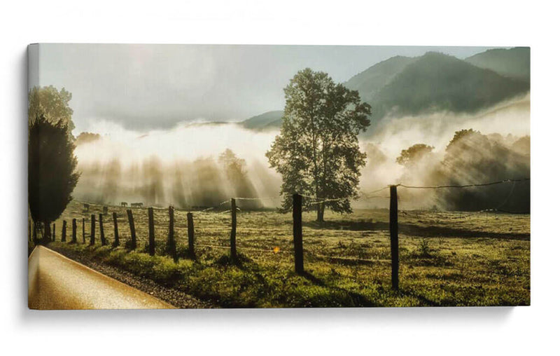 Amanecer En Cades Cove - Danny Head | Cuadro decorativo de Canvas Lab