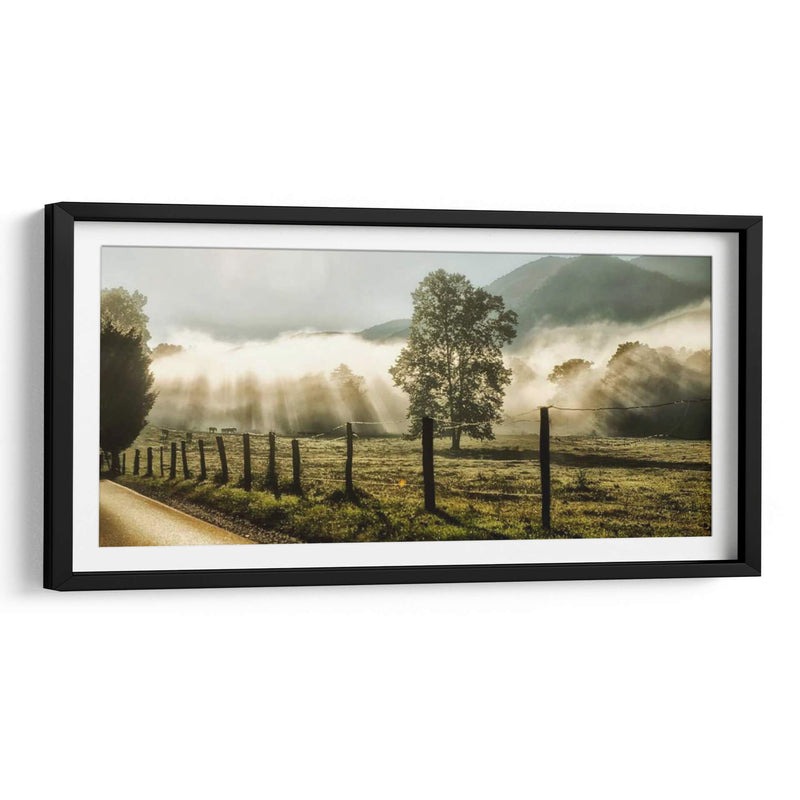 Amanecer En Cades Cove - Danny Head | Cuadro decorativo de Canvas Lab