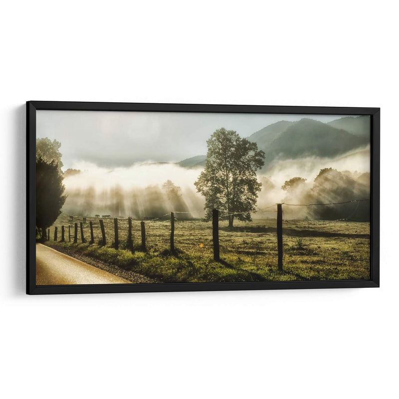 Amanecer En Cades Cove - Danny Head | Cuadro decorativo de Canvas Lab