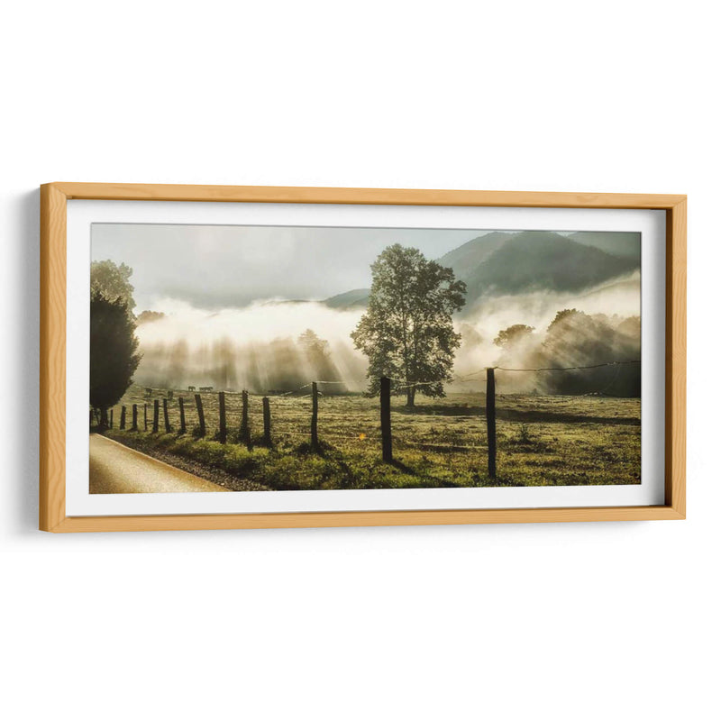 Amanecer En Cades Cove - Danny Head | Cuadro decorativo de Canvas Lab