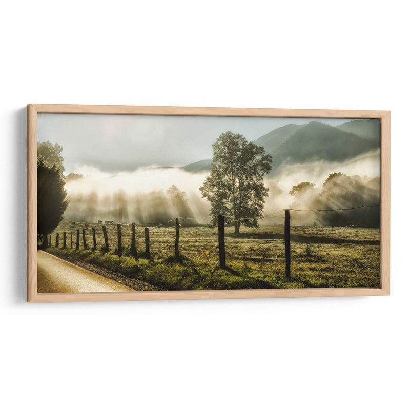 Amanecer En Cades Cove - Danny Head | Cuadro decorativo de Canvas Lab