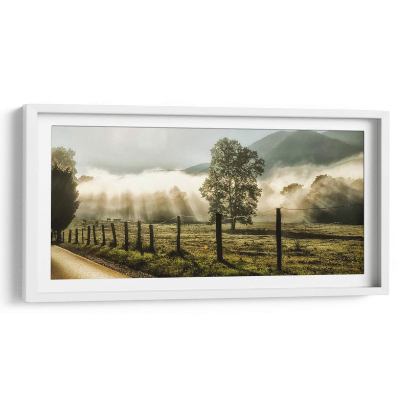 Amanecer En Cades Cove - Danny Head | Cuadro decorativo de Canvas Lab