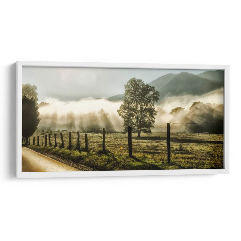 Amanecer En Cades Cove - Danny Head | Cuadro decorativo de Canvas Lab