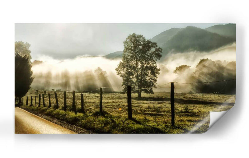 Amanecer En Cades Cove - Danny Head | Cuadro decorativo de Canvas Lab