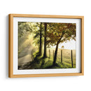 Mañana Pasta Ii - Danny Head | Cuadro decorativo de Canvas Lab