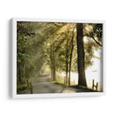 Mañana Fresca Ii - Danny Head | Cuadro decorativo de Canvas Lab