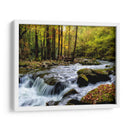 Sobre Flujo I - Danny Head | Cuadro decorativo de Canvas Lab